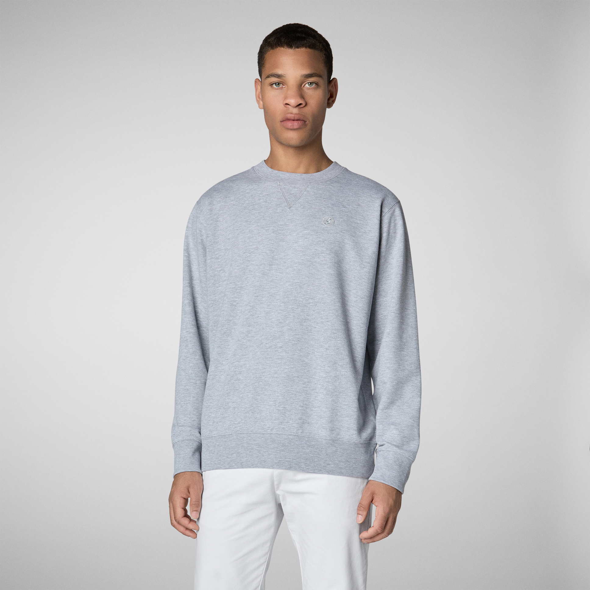 Save the Duck  PULLOVER Silas Farbe: LIGHT GREY MELANGE