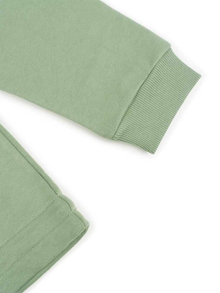 Bleed Sweatshirt Crewster Farbe: salbei grün