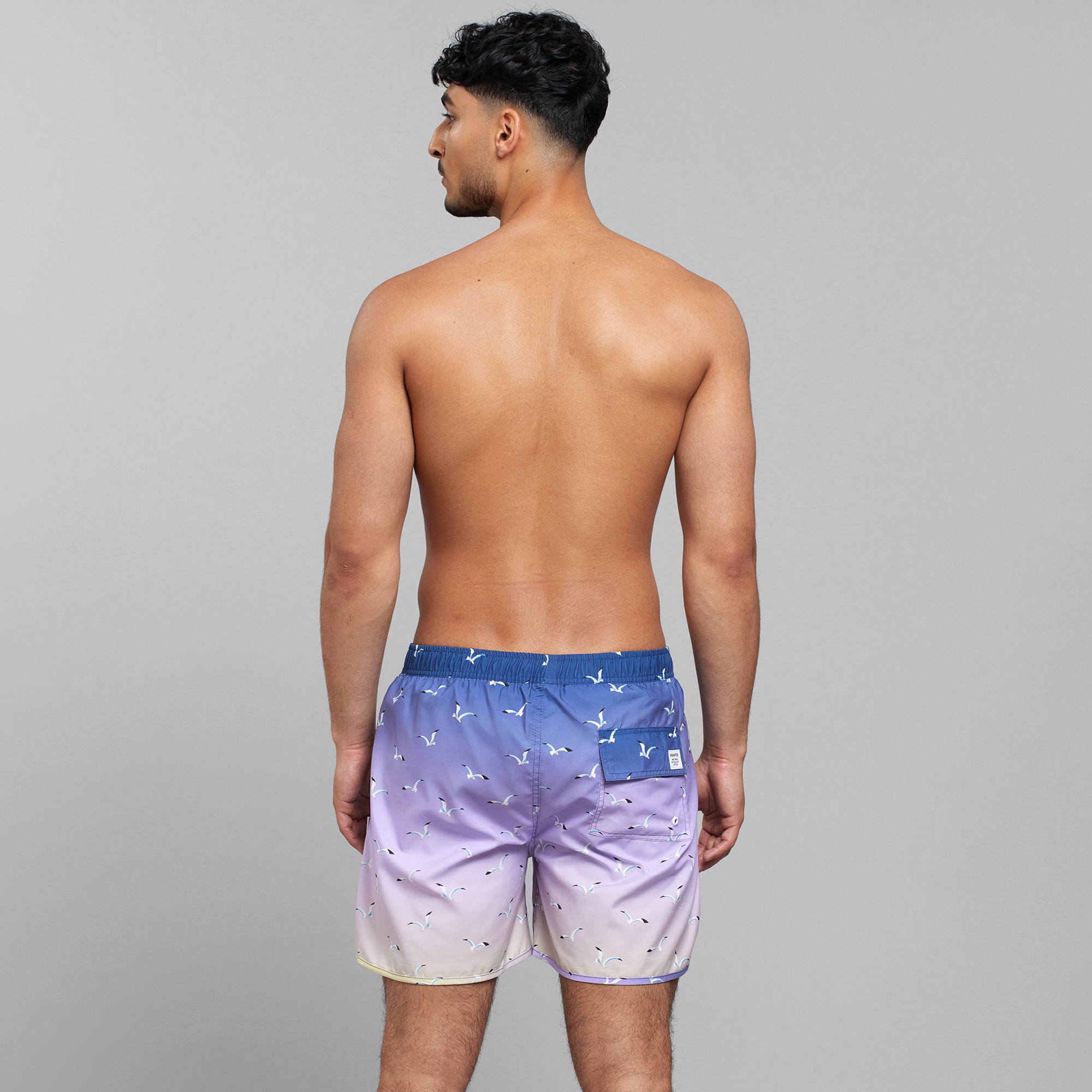 Dedicated  Swim Shorts Sandhamn Seabirds Sunset Multi Color